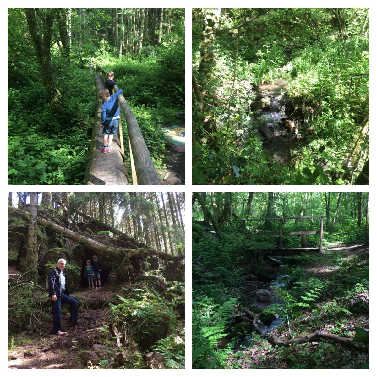 Processed with Moldiv