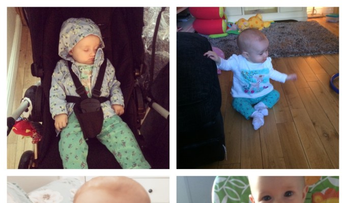 My week in photo’s