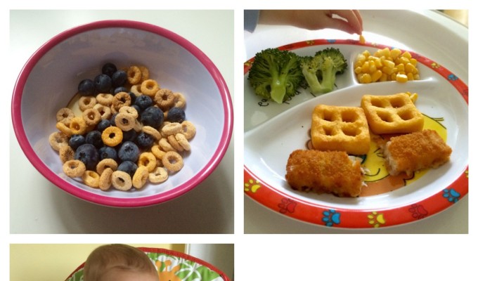 Allergy Friendly BLW Meal Ideas