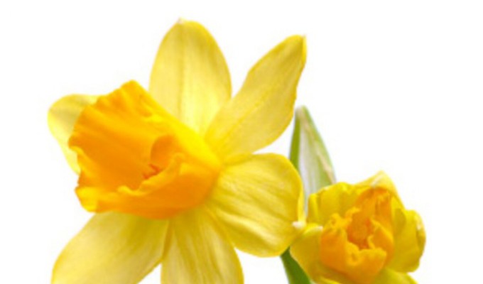 10 gifts Mums really want for Mothers Day